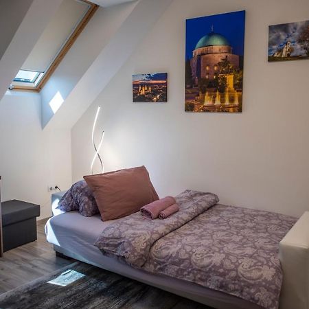Zsuka Apartman Free Parking 佩奇 外观 照片