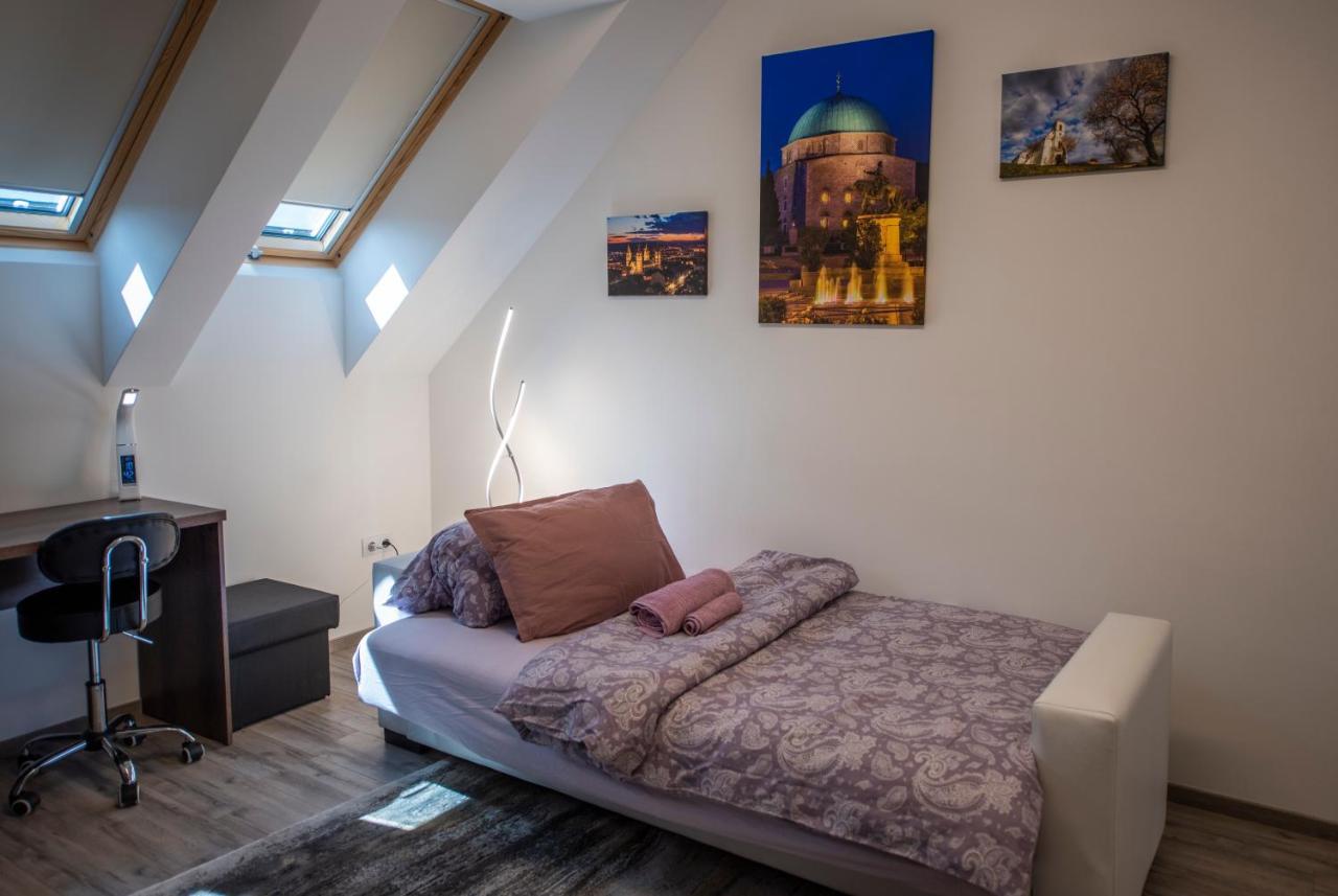 Zsuka Apartman Free Parking 佩奇 外观 照片