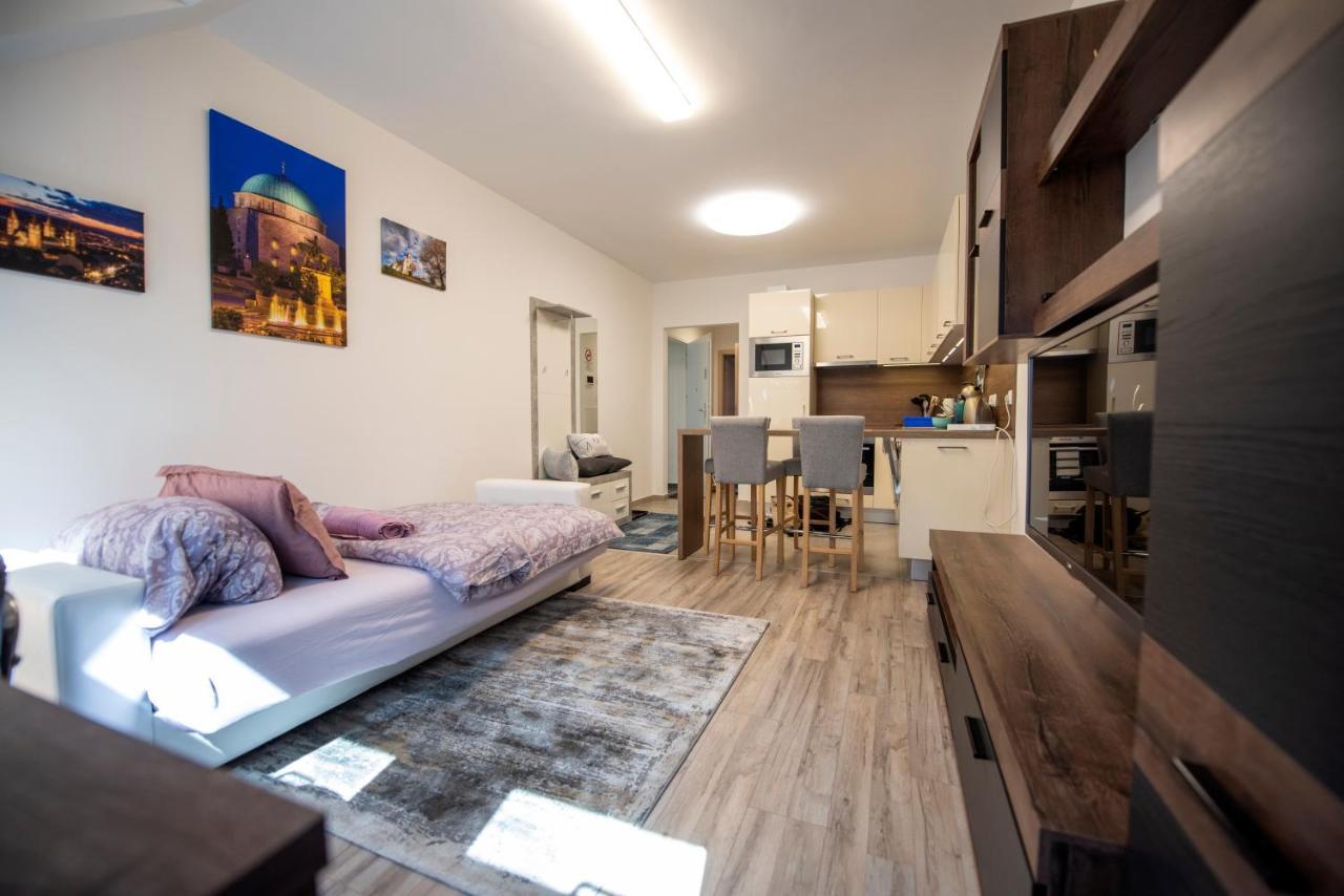 Zsuka Apartman Free Parking 佩奇 外观 照片