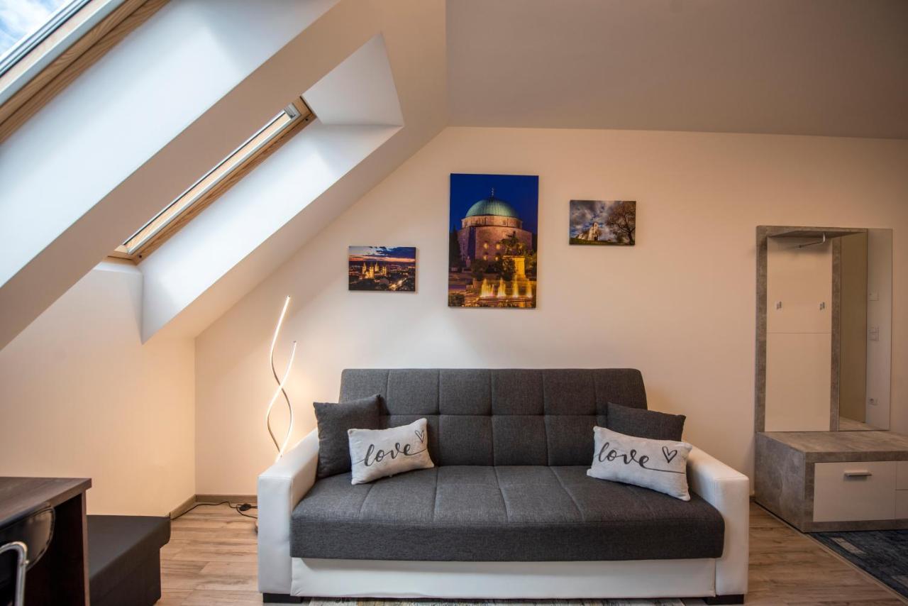Zsuka Apartman Free Parking 佩奇 外观 照片